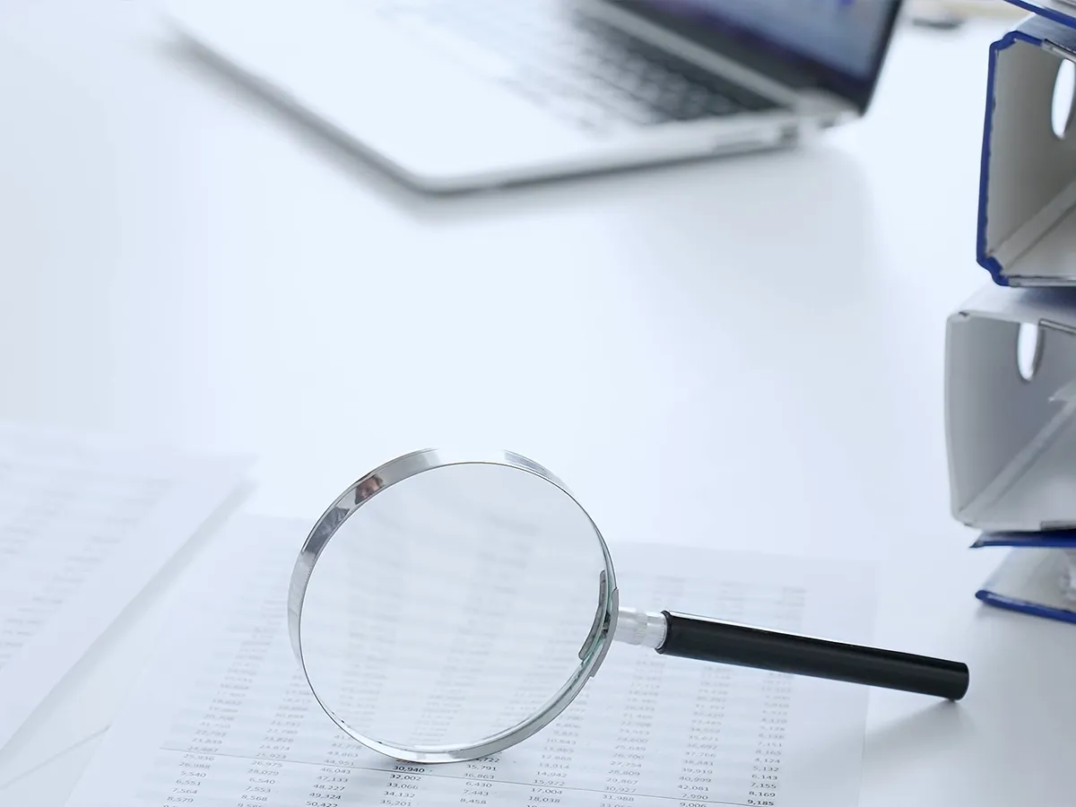 NetSuite GoBD-Konformität und Betriebsprüfung – Datenzugriff vorbereiten